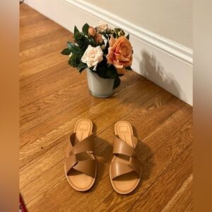 Dolce Vita Sandals